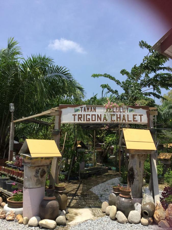 Trigona Chalet Ξενοδοχείο Marang Εξωτερικό φωτογραφία